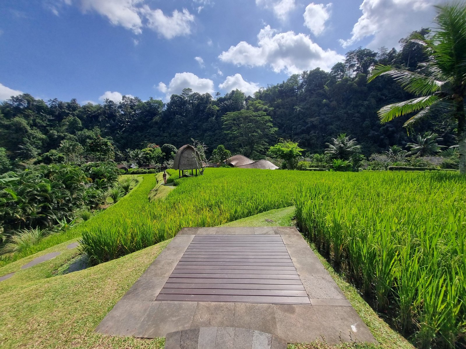 Hotel Review : Mandapa, a Ritz-Carlton Reserve–(Ubud Pool Villa) A Serene Sanctuary in the Valley of the Kings